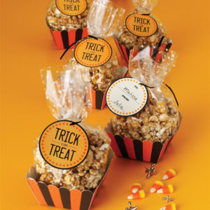 TREAT BOXES & BAGS